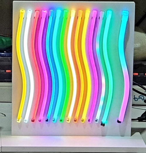 Neonflex02